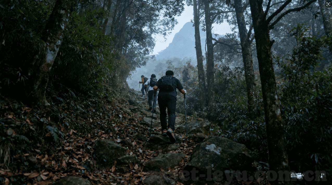 世界杯体育买球app-世界杯体育买球app，便捷体验与风险并存